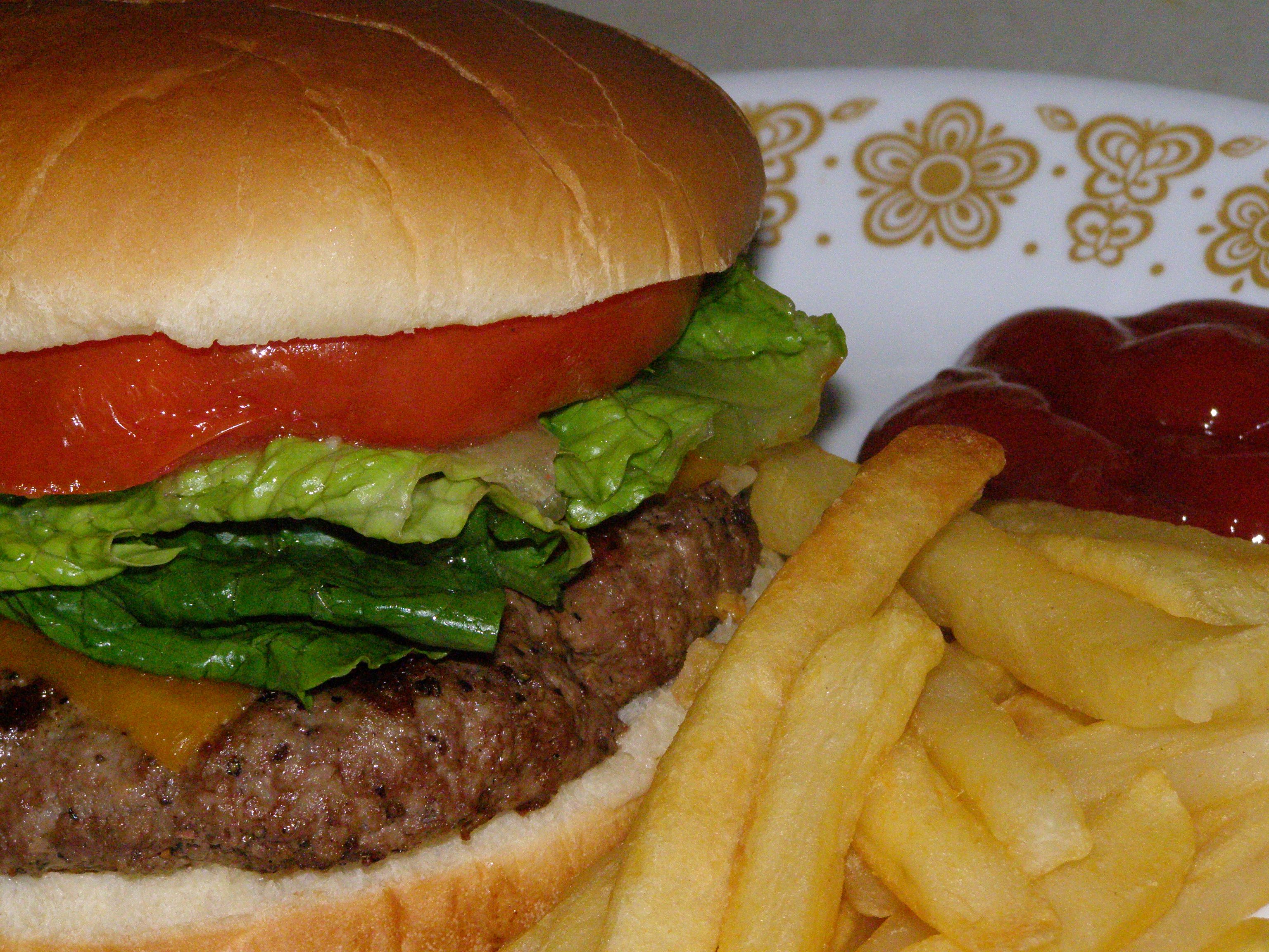 FileHomemade Cheeseburger.JPG Wikimedia Commons