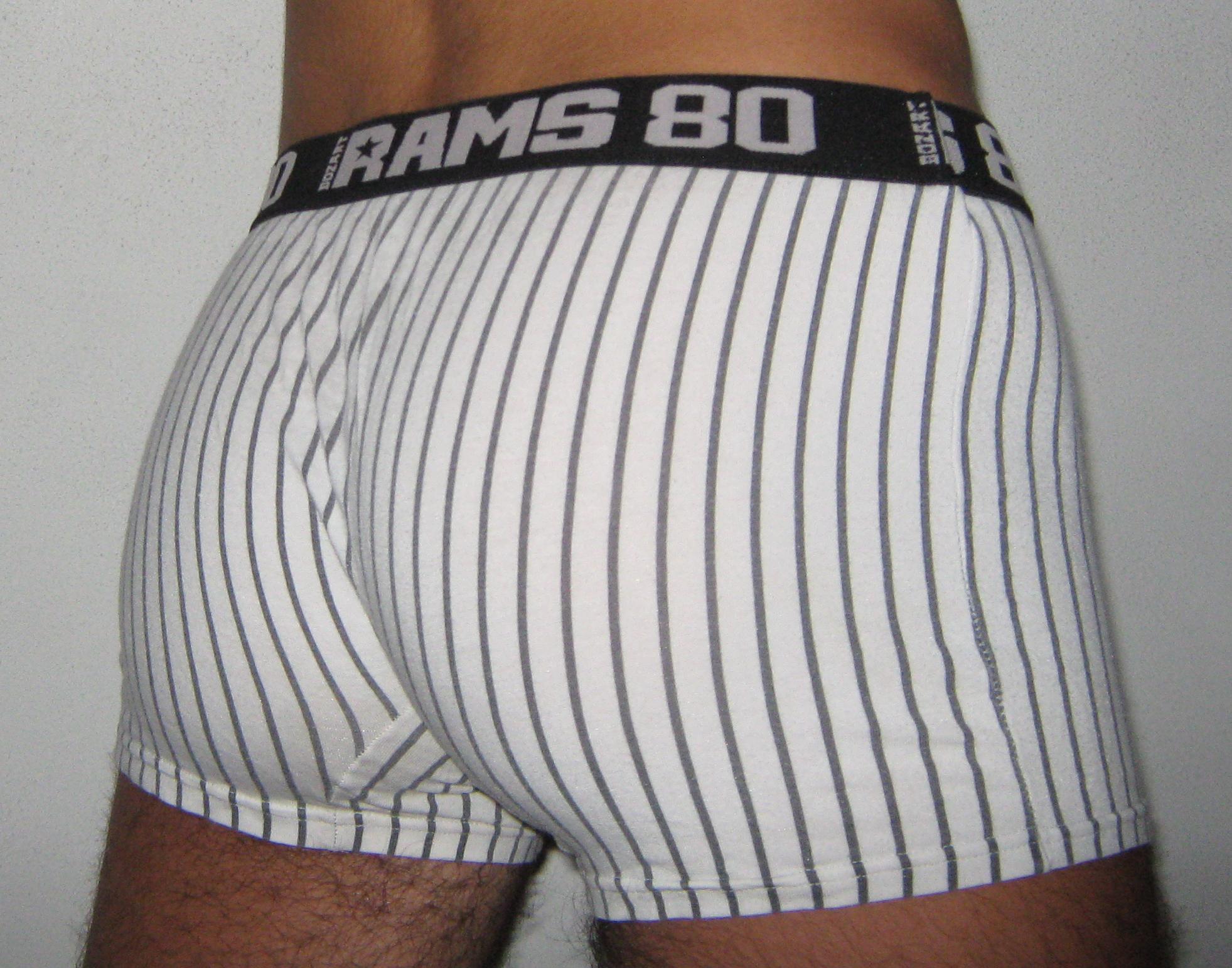 FileBoxerbriefsback.JPG Wikimedia Commons