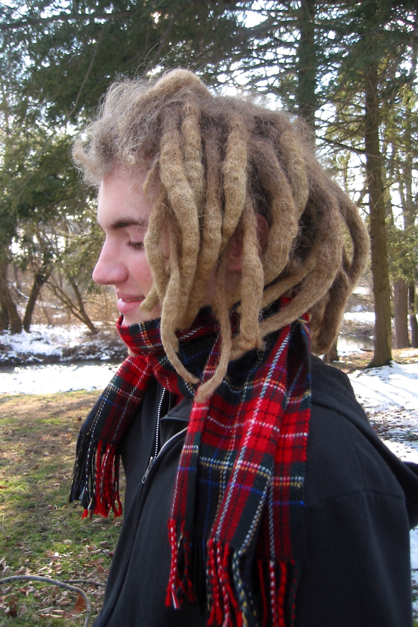 FileDreadhead.jpg Wikimedia Commons