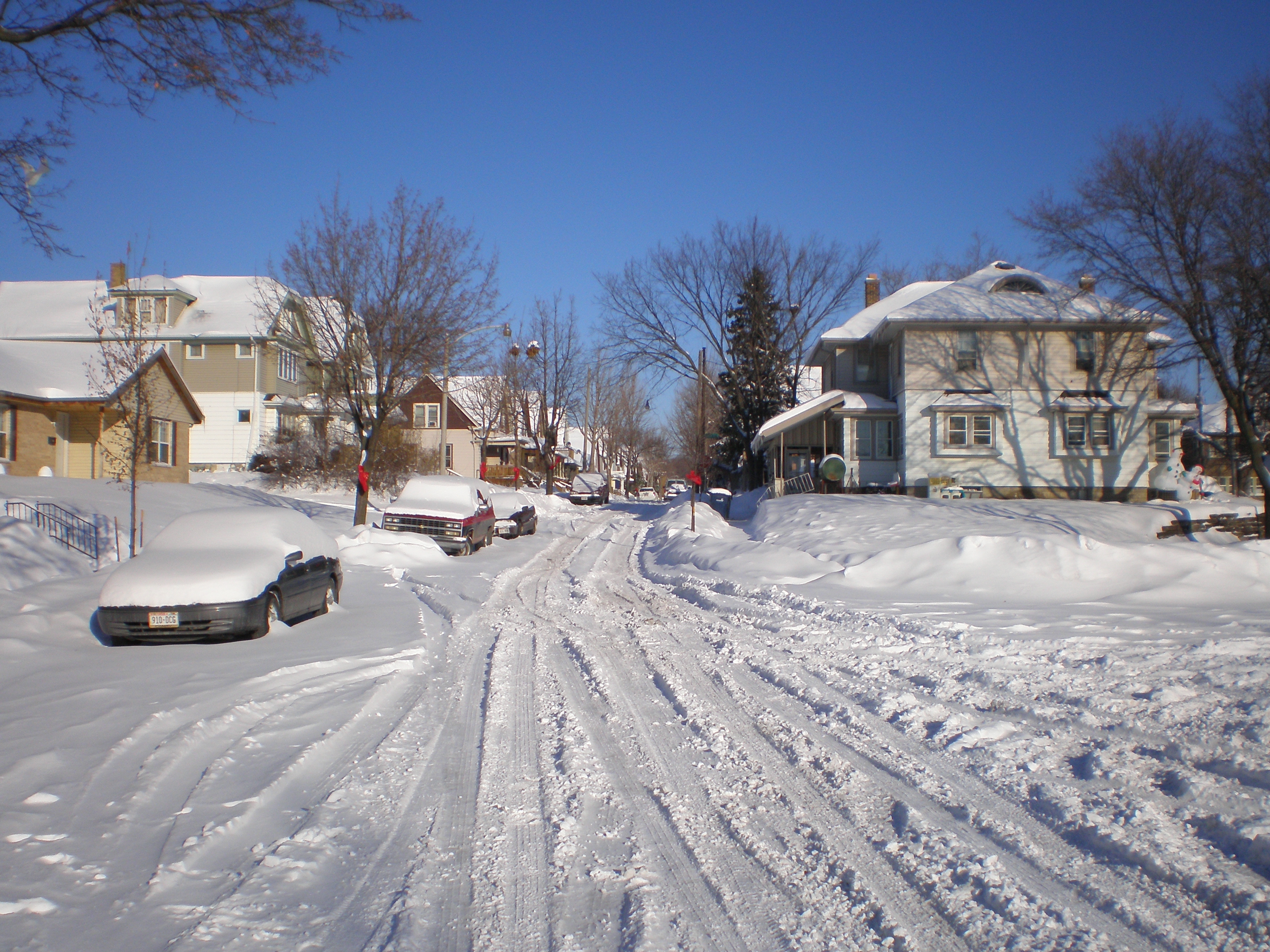 FileMartin Drive, Winter Bows.JPG Wikimedia Commons