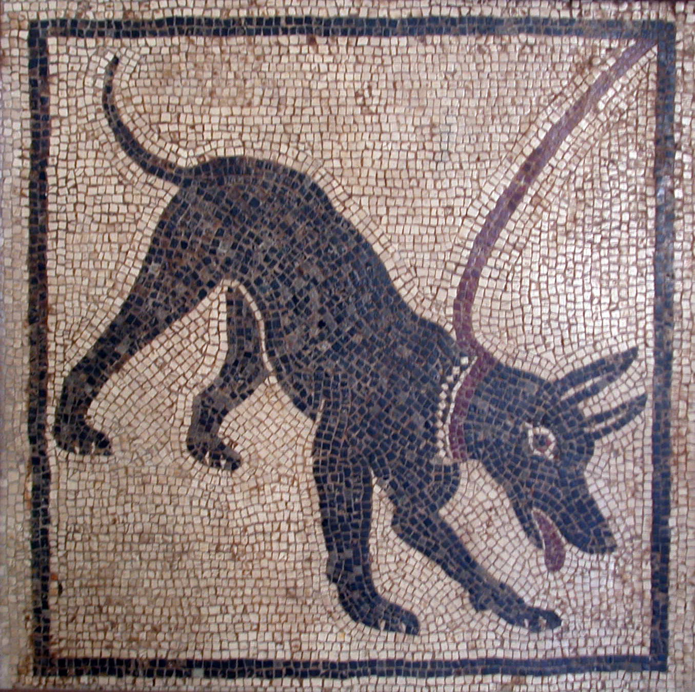 ArchivoCave canem.JPG Wikipedia, la enciclopedia libre