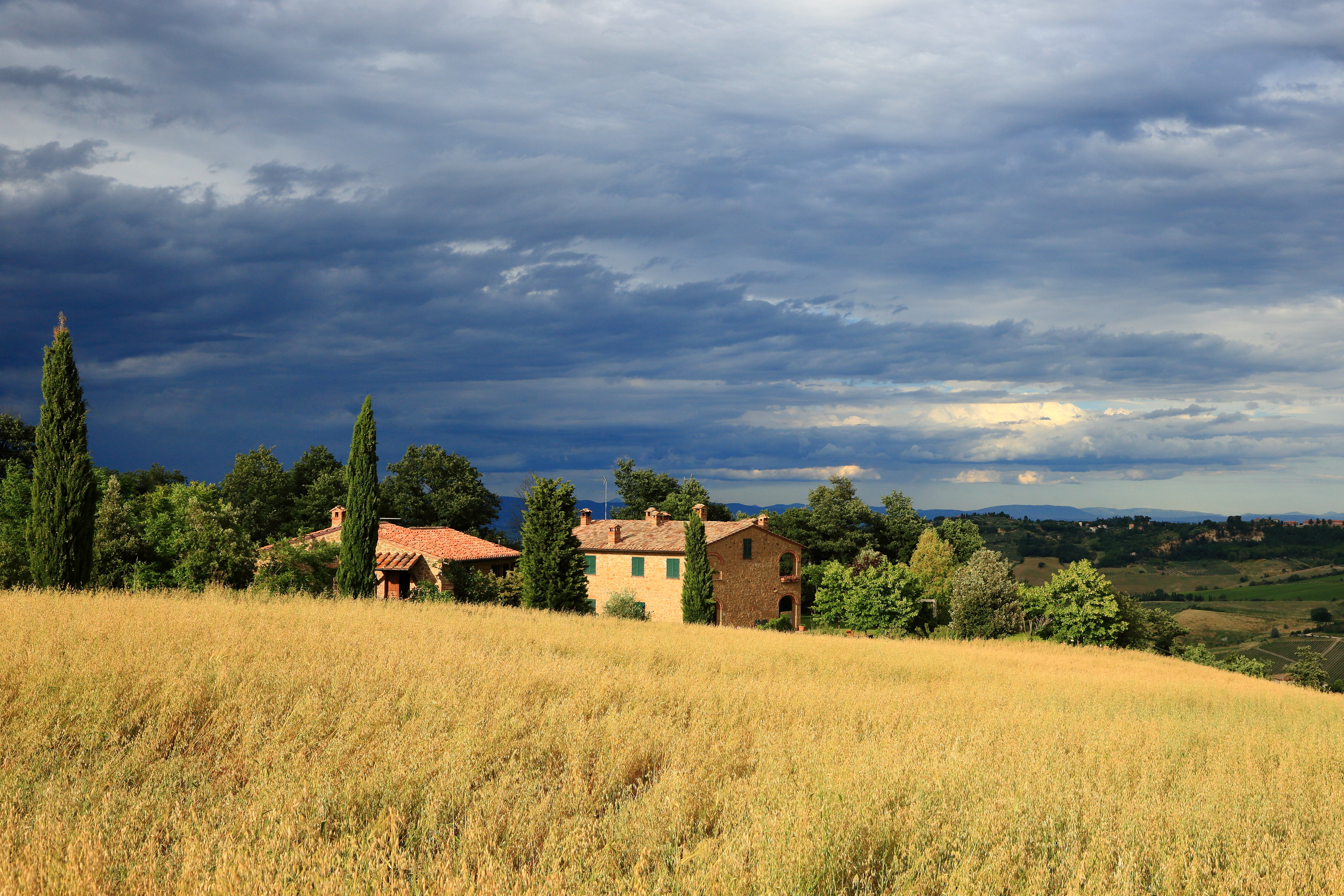 FileTuscan Landscape 4.JPG