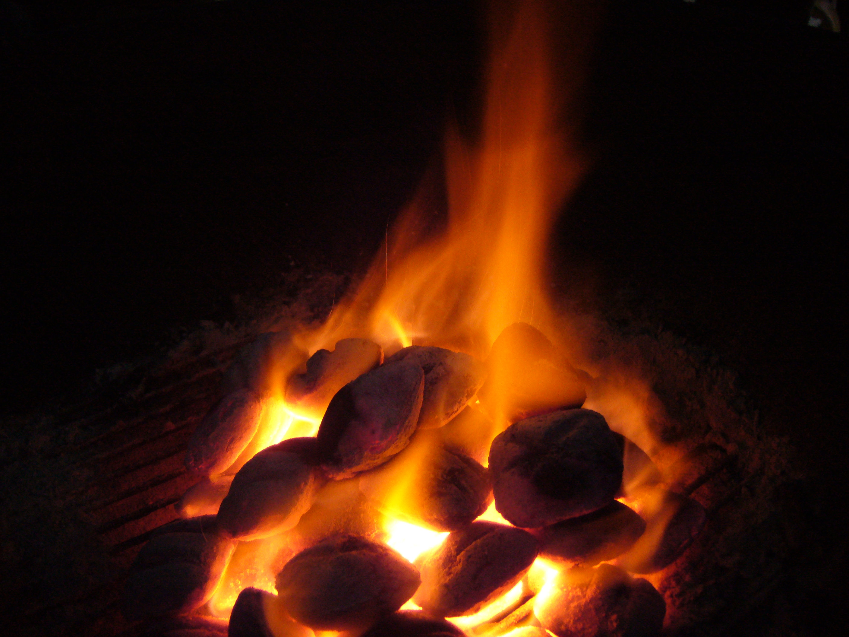 FileCoal and Fire.JPG Wikipedia