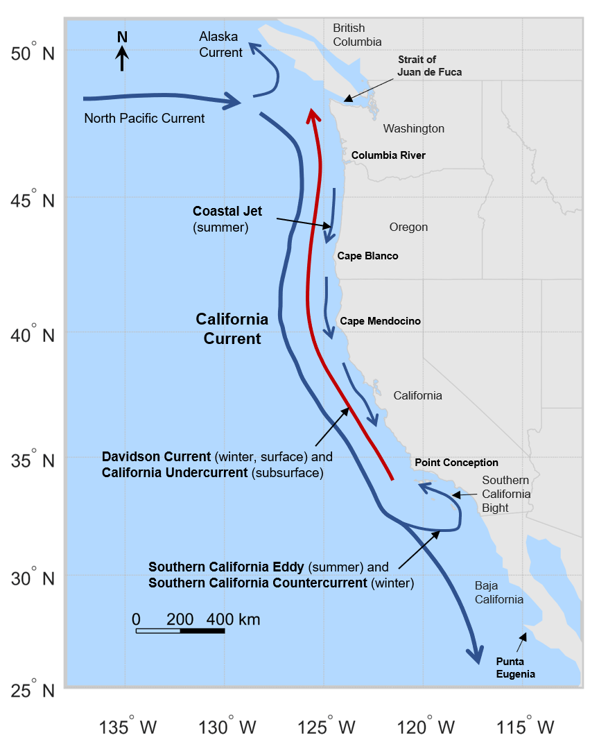 California Current Wikiwand