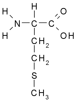 Methionin Wikiskripta
