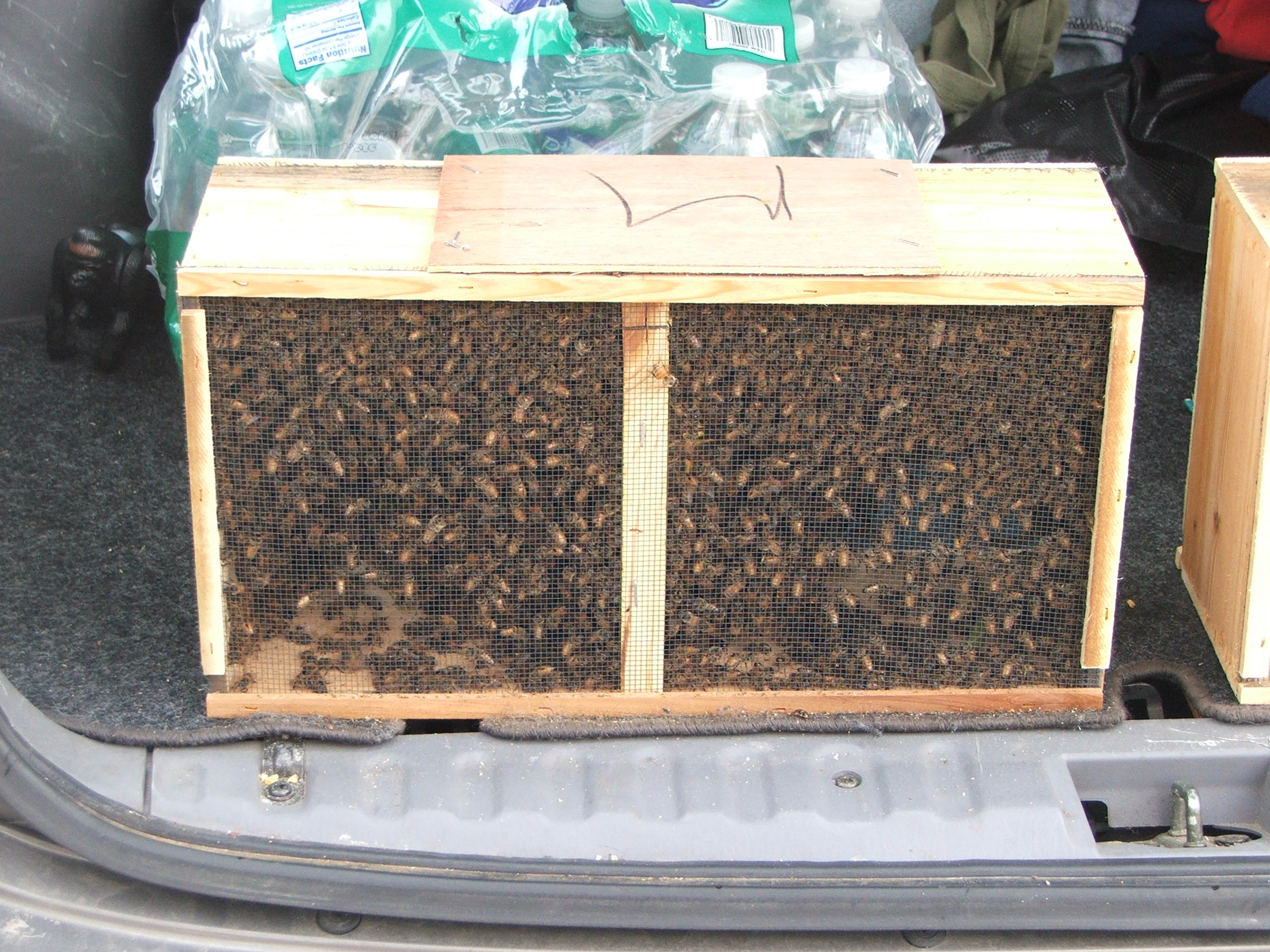 FileStandard Package of Bees.JPG Wikimedia Commons