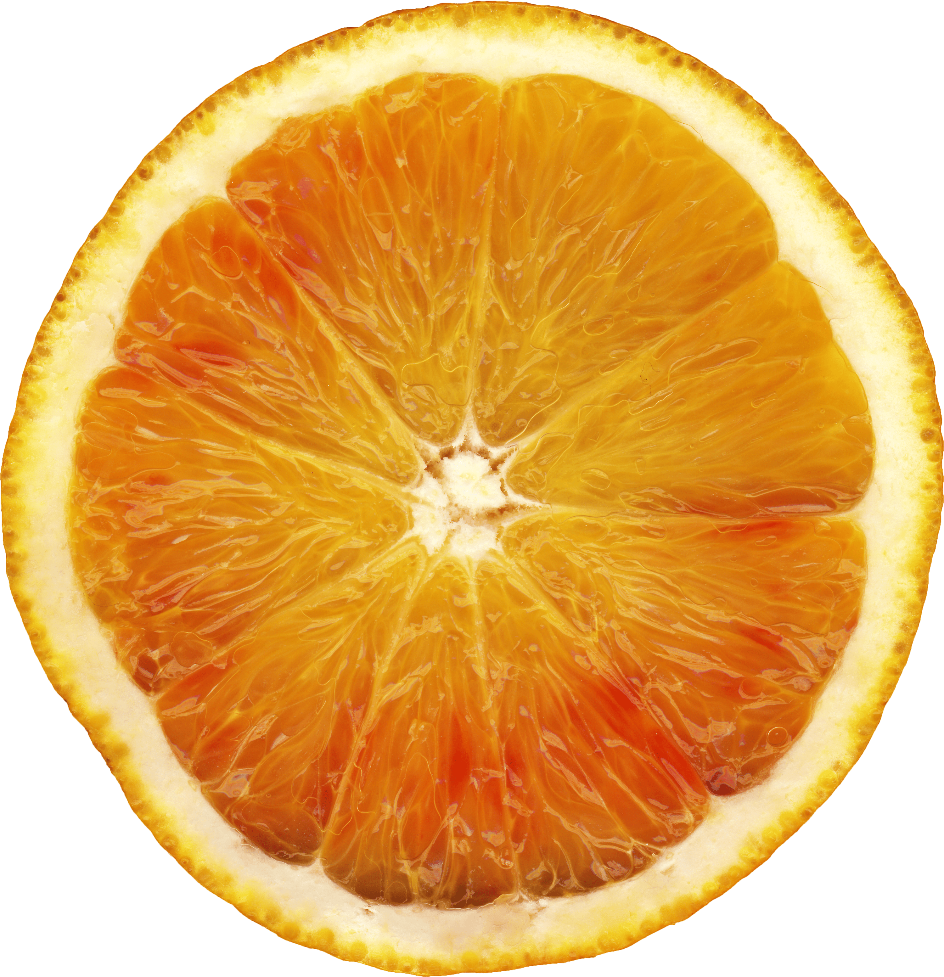 FileScan of an orange.png Wikimedia Commons