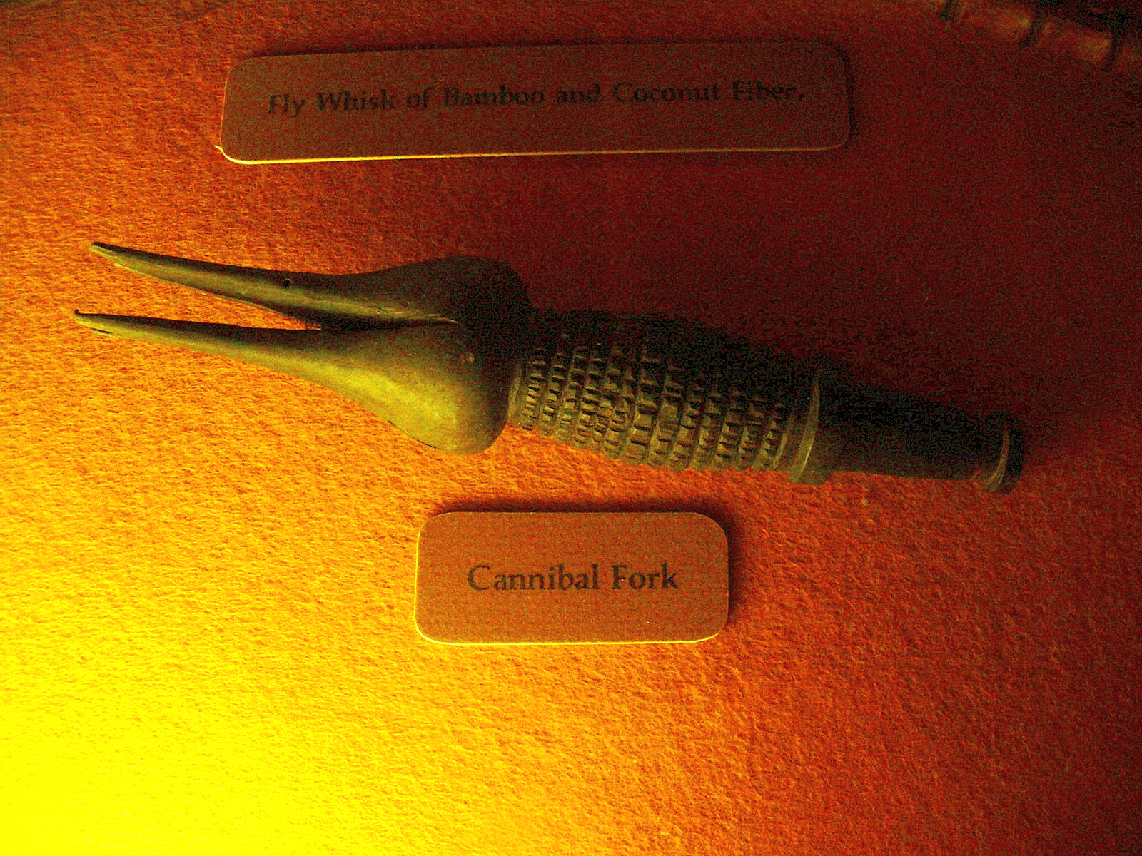 By ErgoSum88 (Own work) [Public domain], via Wikimedia Commons