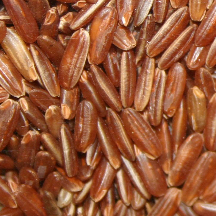 Brown rice Wikipedia