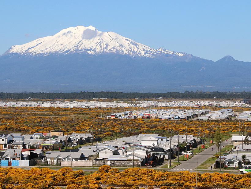 Alerce (Chile) Wikipedia, la enciclopedia libre