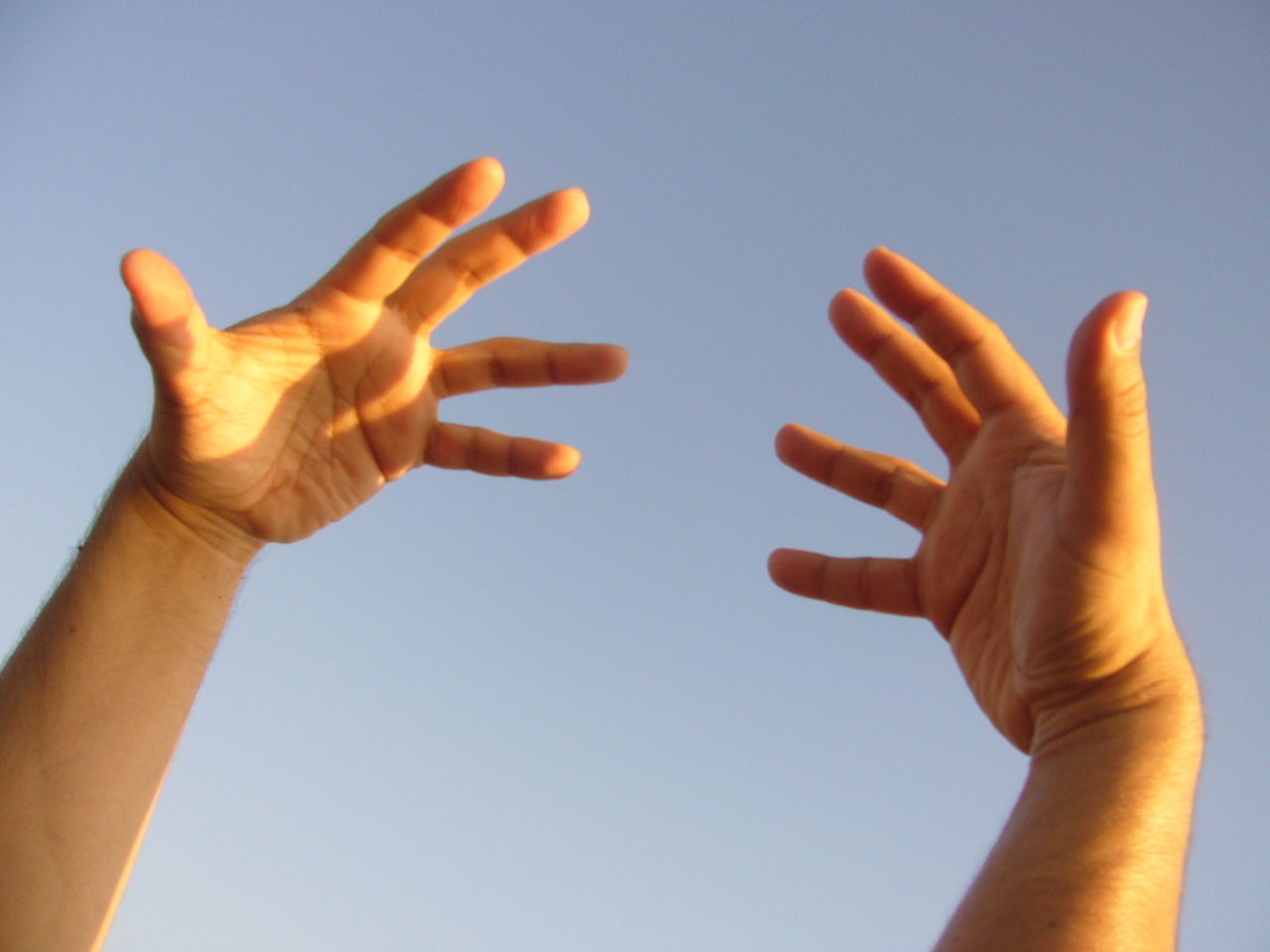 File071228 human hands.JPG Wikimedia Commons