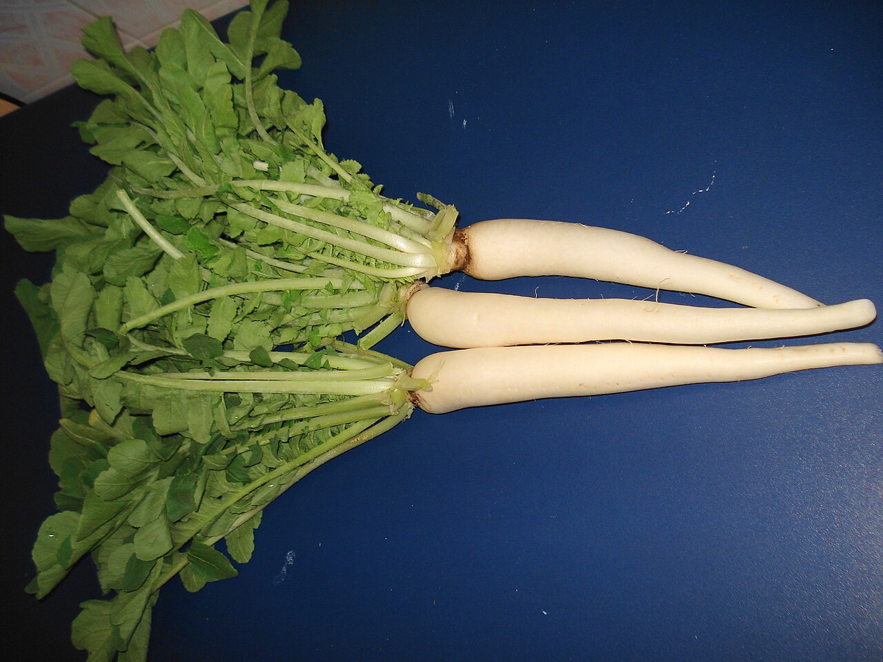 FileMooli.JPG Wikimedia Commons