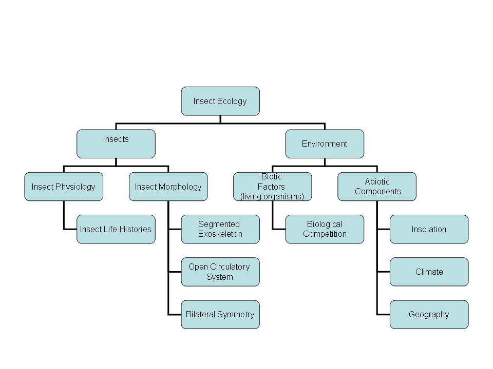 Concept Map Of Geography File:insect Ecology Concept Map.png - Wikipedia