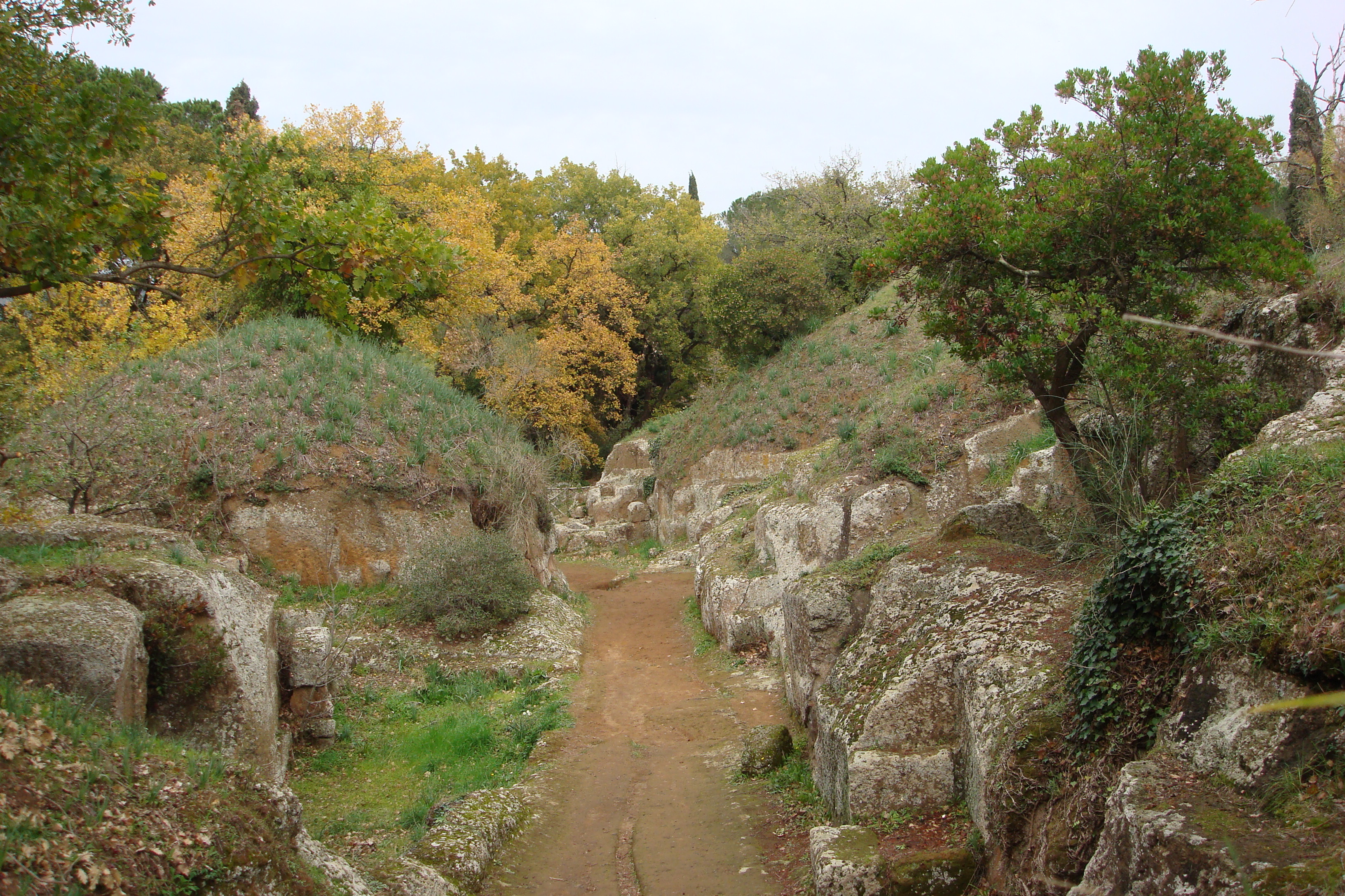 FileCerveteri.JPG Wikipedia