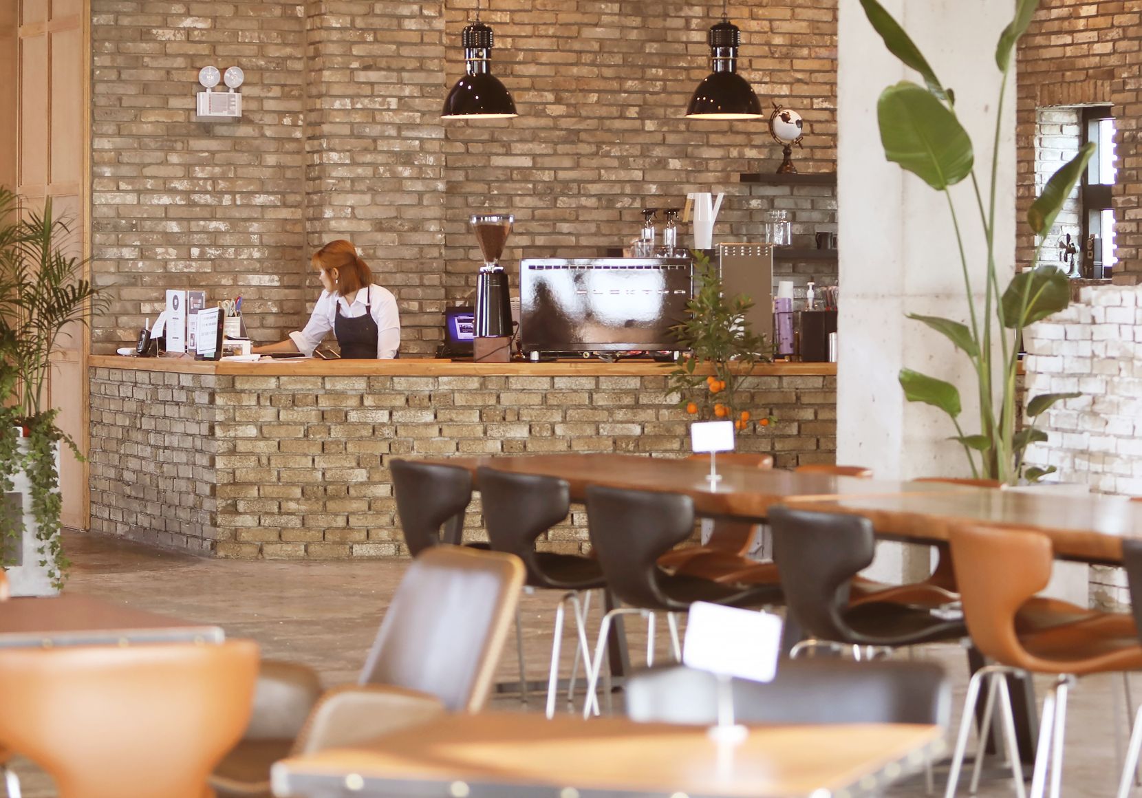 How to study at cafes for free Kcampus