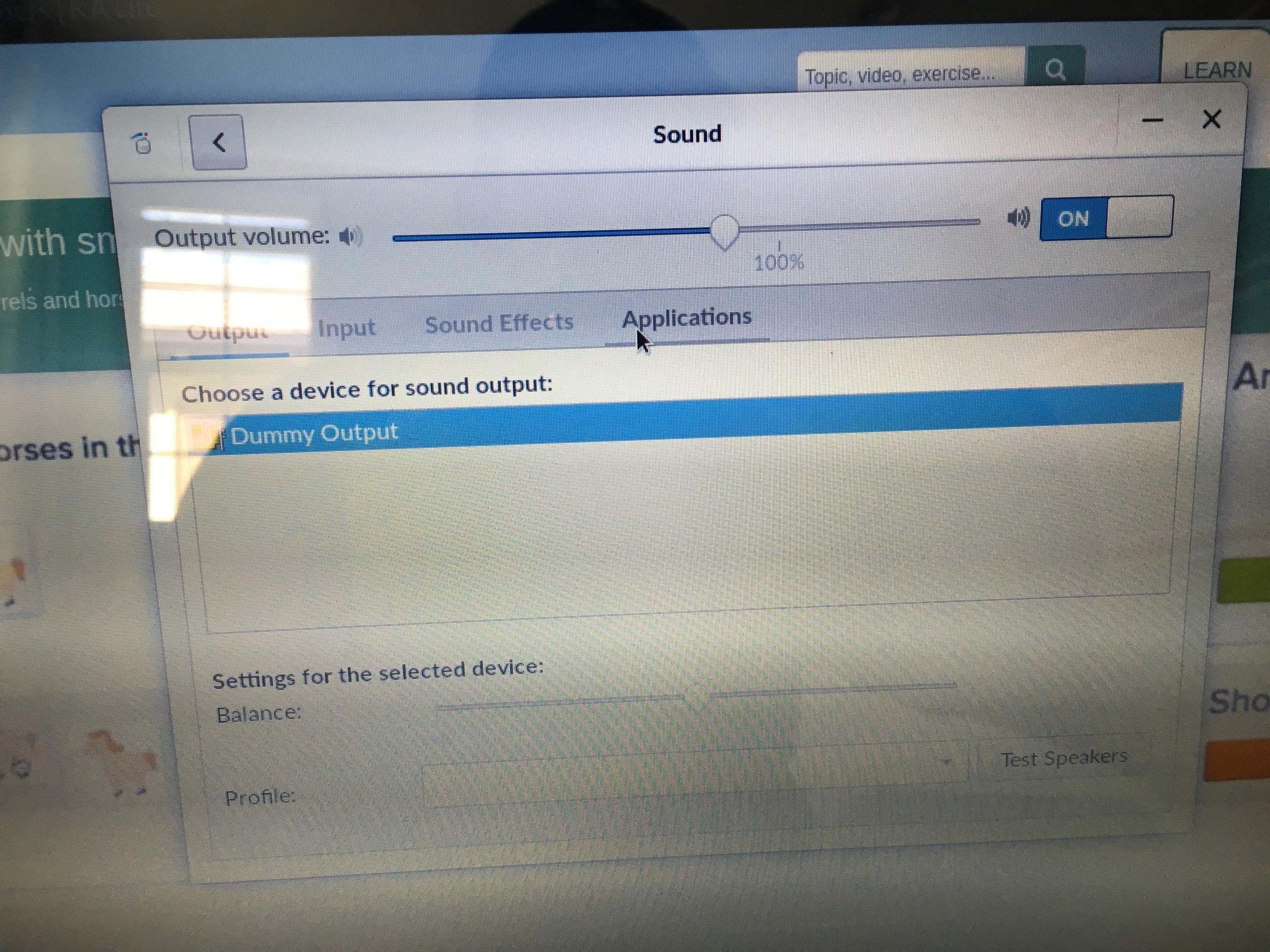 Sound output not working help Endless Community