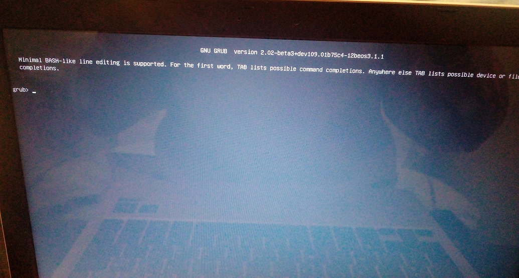 Help gnu grub version 2.02beta3+dev109.01b75c412beos3.1.1 help