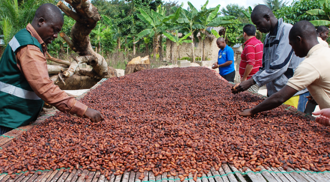 Chocolate manufacturers will now pay more for cocoa as Côte d’Ivoire