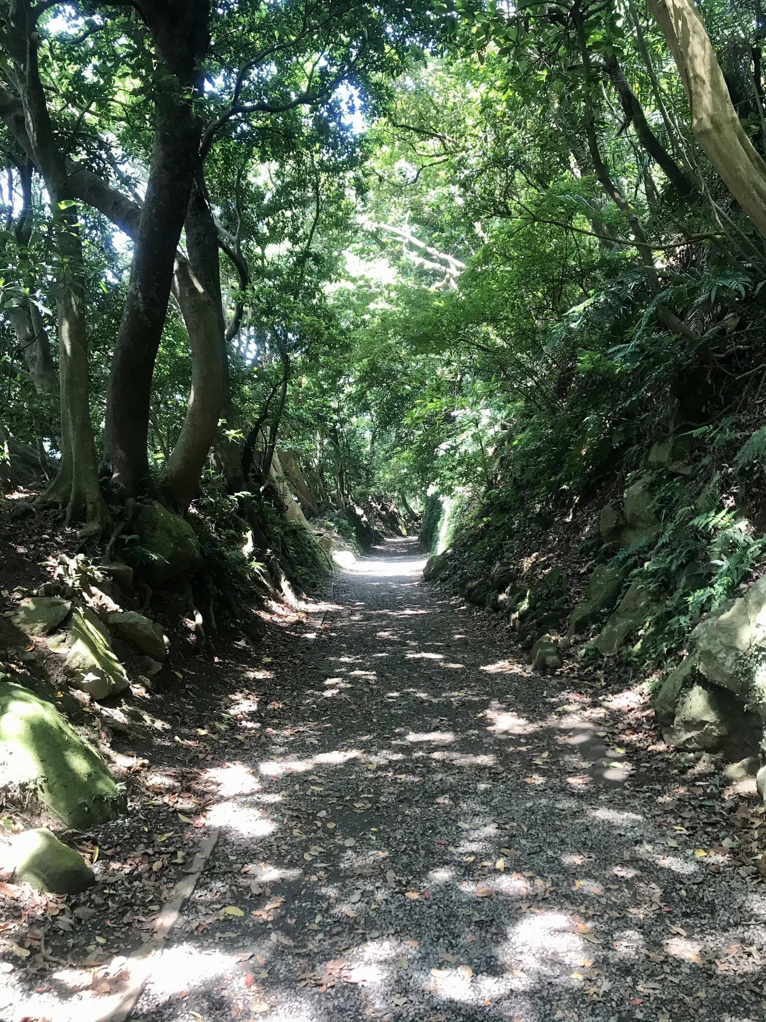 PX4 sitl & Gazebo modeling guide HackMD