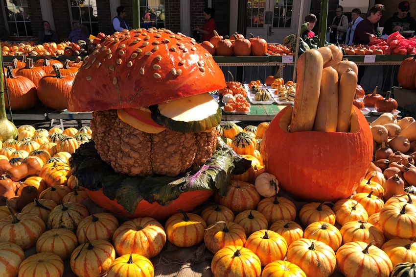 Things to Do in Lovely Circleville, Ohio