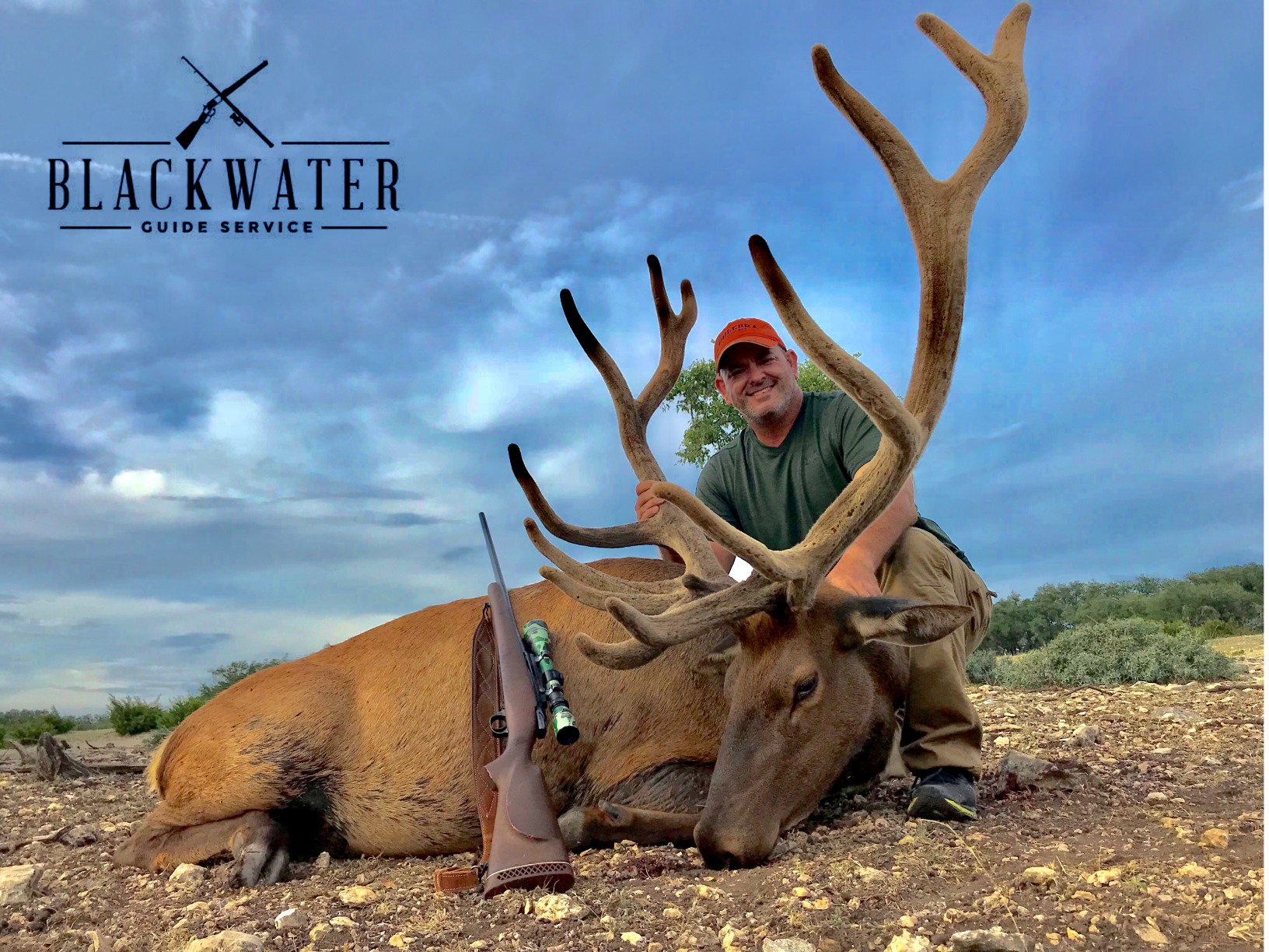 Texas Elk 5550 Pricing, Features, and More