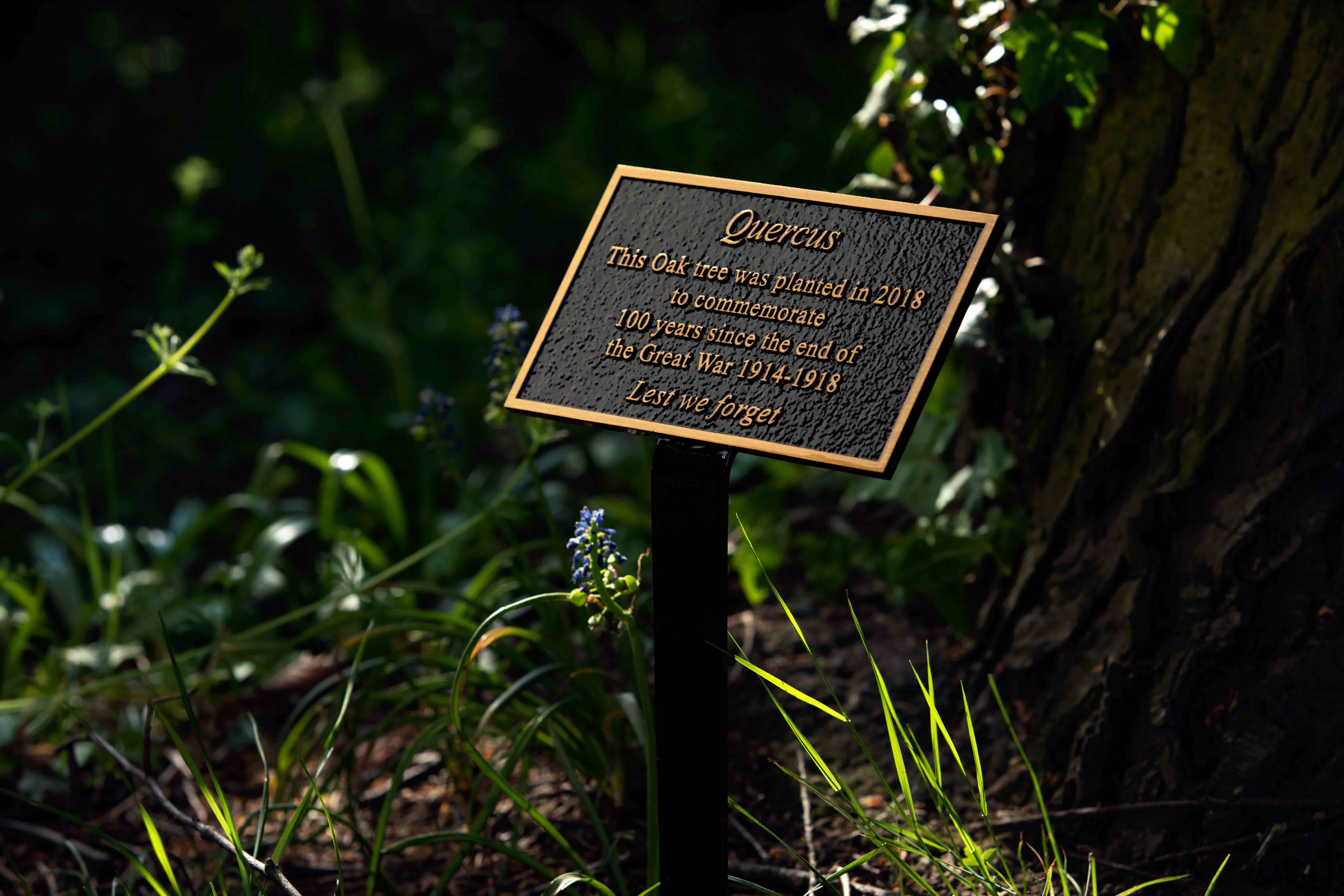 Memorial Plaques, Bronze Memorial Plaques Anglia Sign Casting Co.