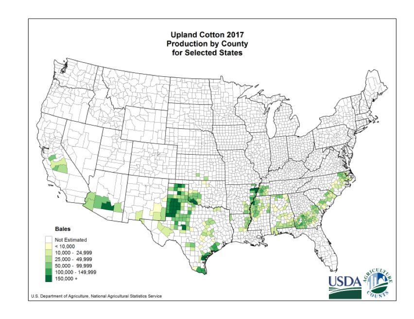 All American Cotton by the Numbers Blog HomeGrown Cotton