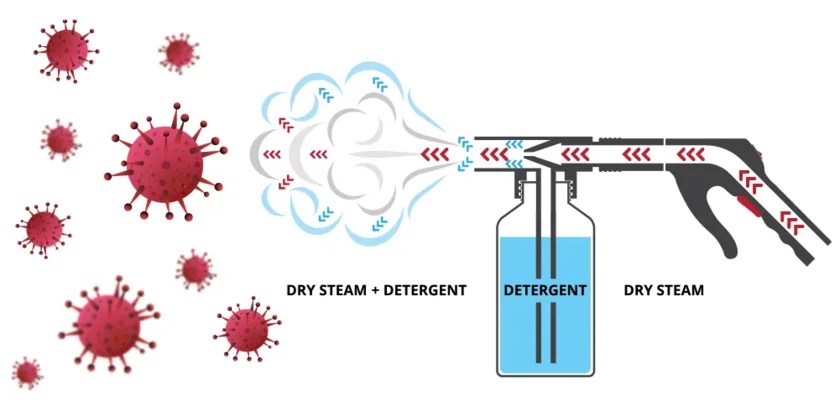 Science Behind Steam: Examining the Efficacy of Steam Against Viruses