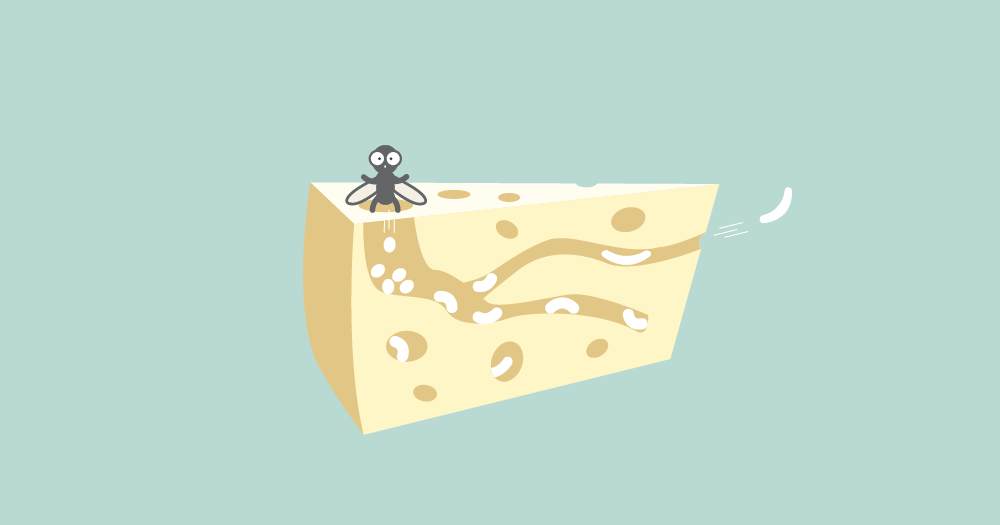 5 AMAZING Facts About the Illegal Casu Marzu a.k.a "The Most Dangerous