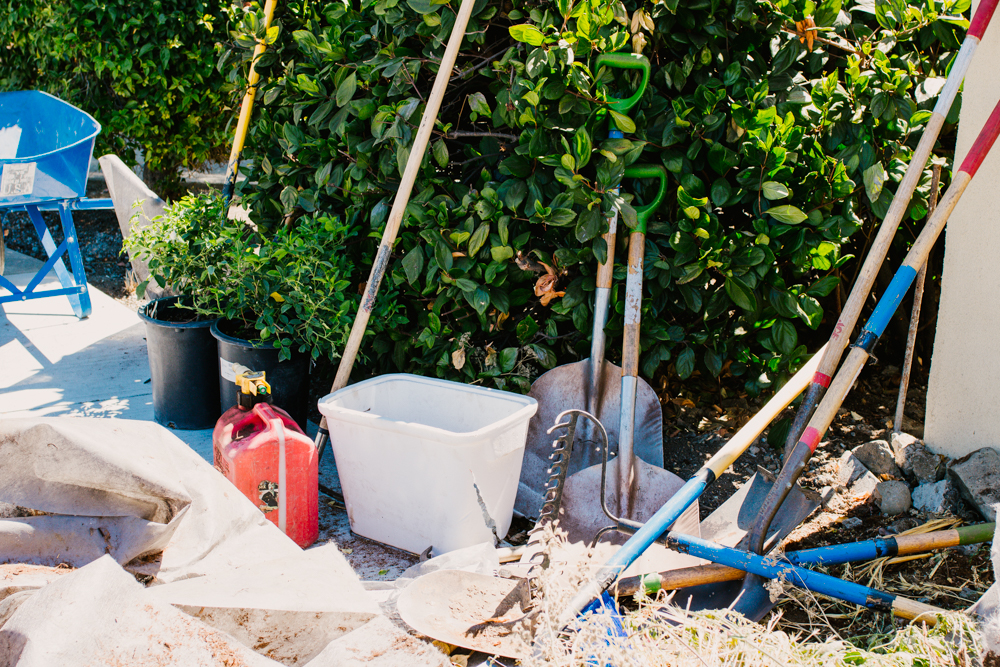 San Jose Tree Service Tree, Arborist, & Landscaping Services