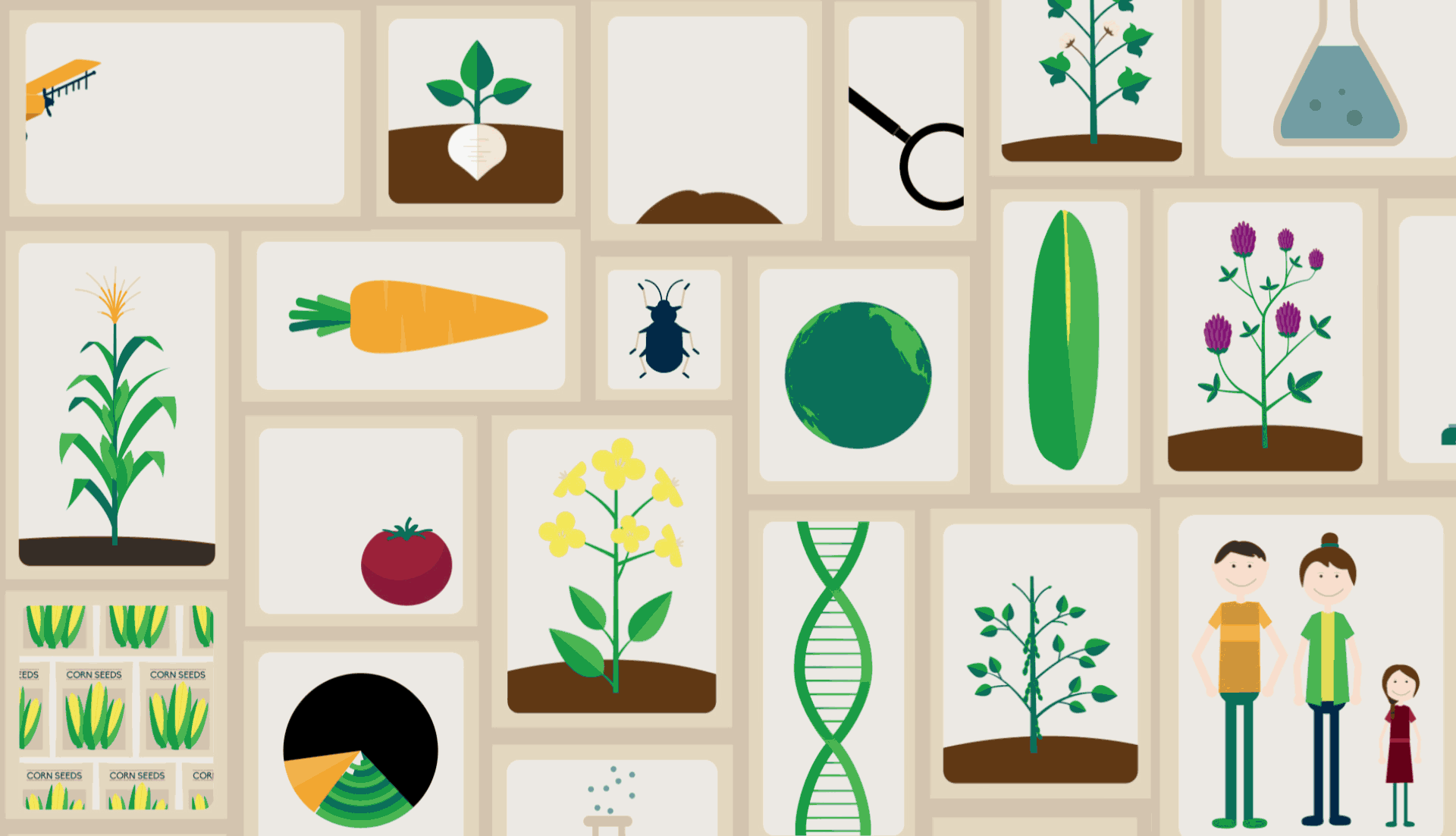 Gmo A Citizen S Guide To The Evidence On The Safety And.