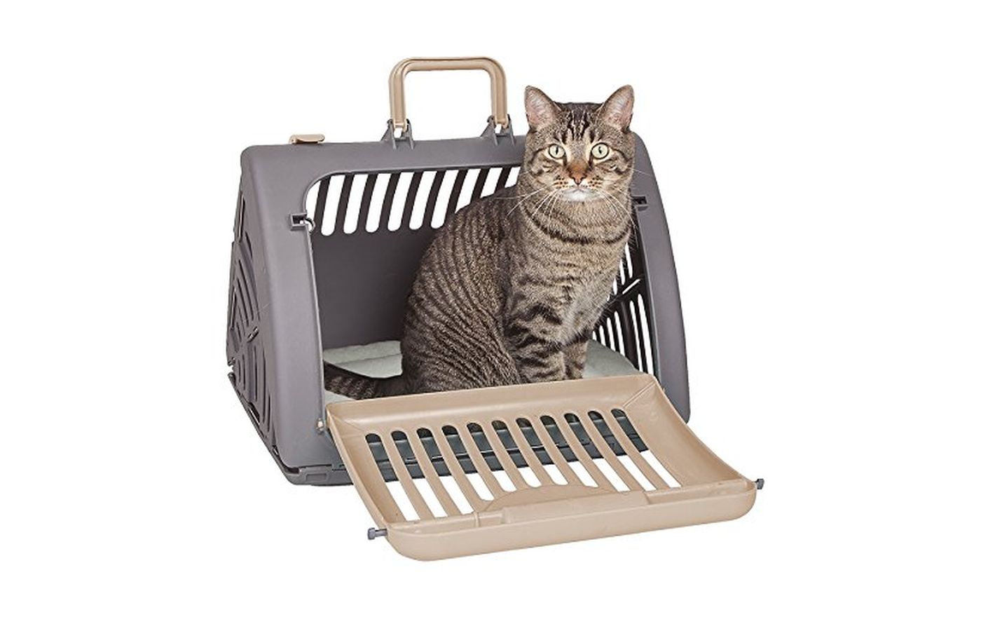 Best Cat Carriers (Buyer's Guide & Top Picks