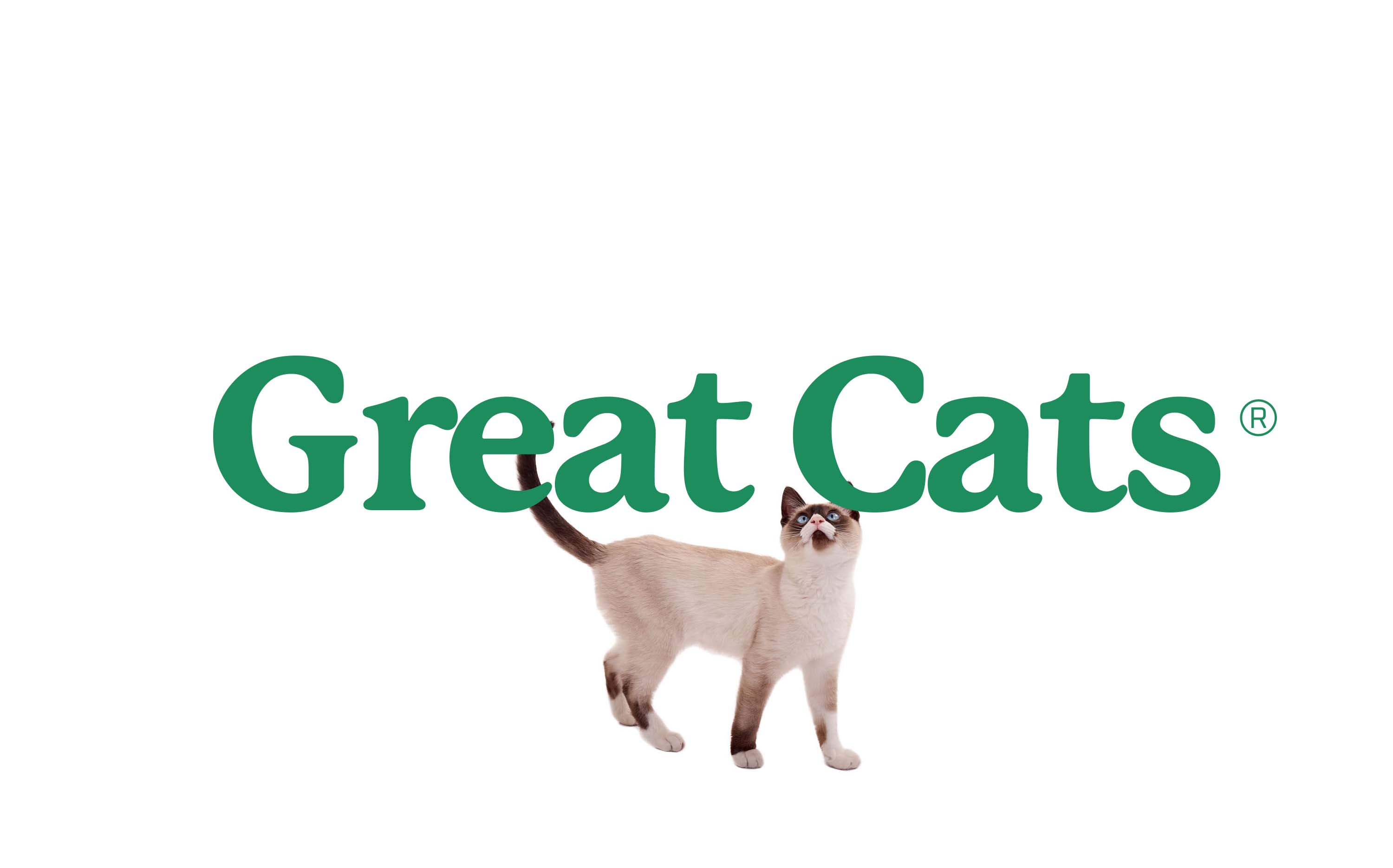 Great Cats