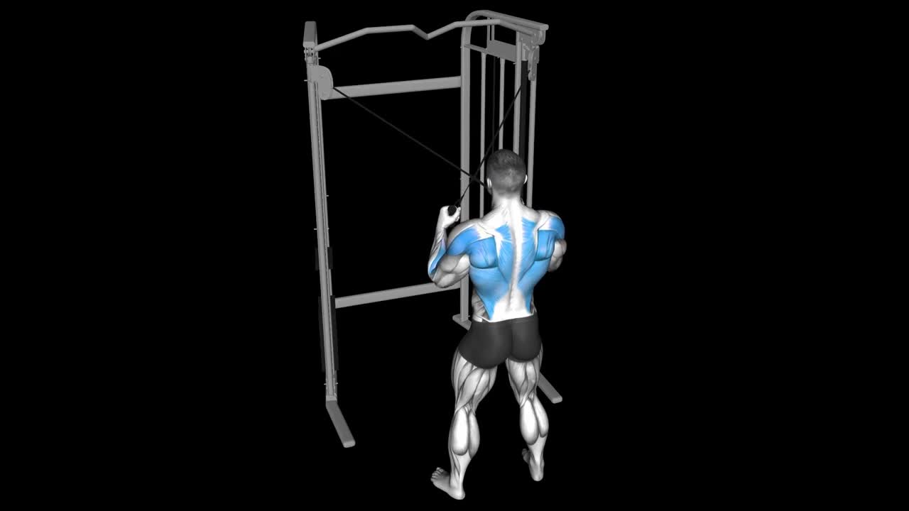 Cable Crossover Reverse Fly How To Video, Alternatives & More