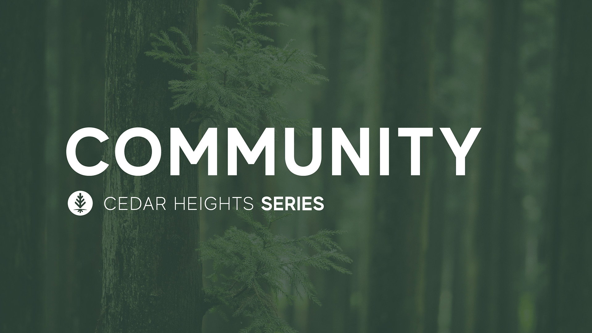 Cedar Heights Series