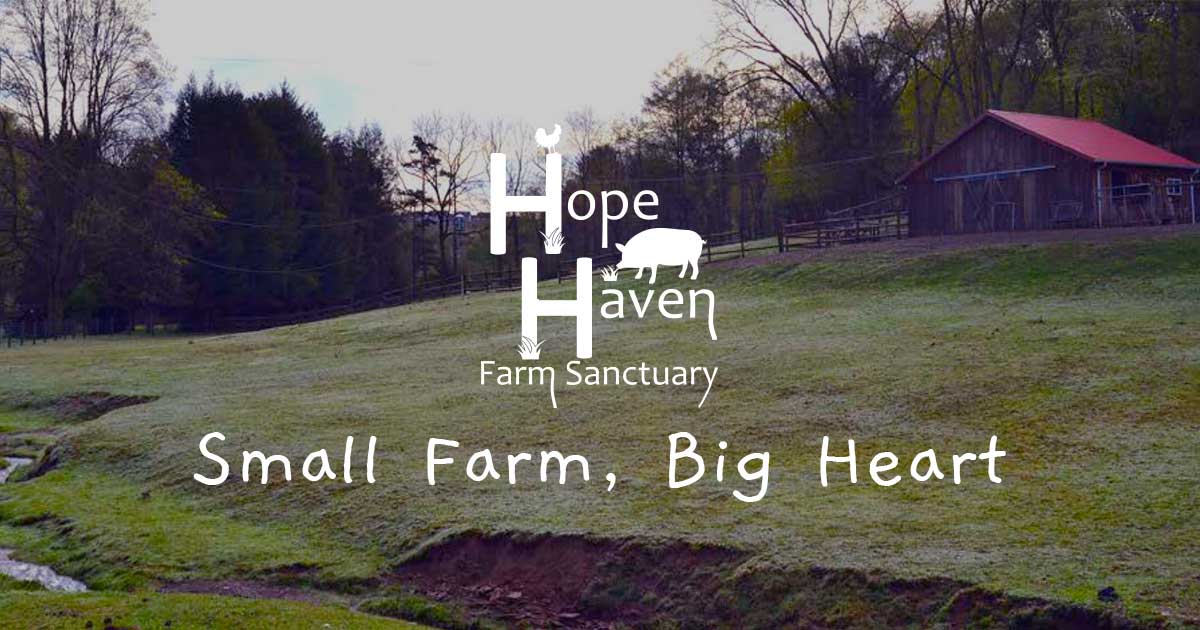 Hope Haven Farm Sanctuary Pittsburgh, Pennsylvania