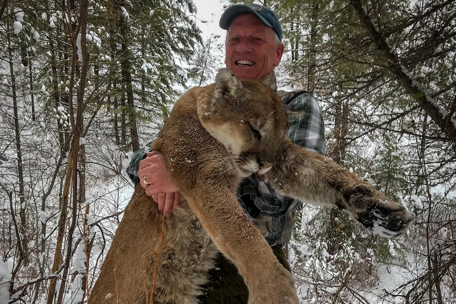 Sawtooth Wilderness Outfitters Idaho's Premier Big Game Guide Service