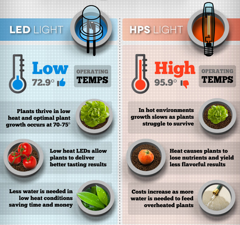 What Are the Main Types of Grow Lights? (Beginner's Guide)