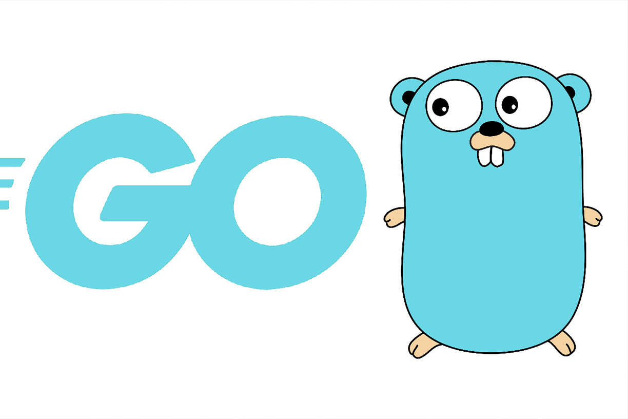 Hypi > Blog > Front end web Development with Gogin (Golang)