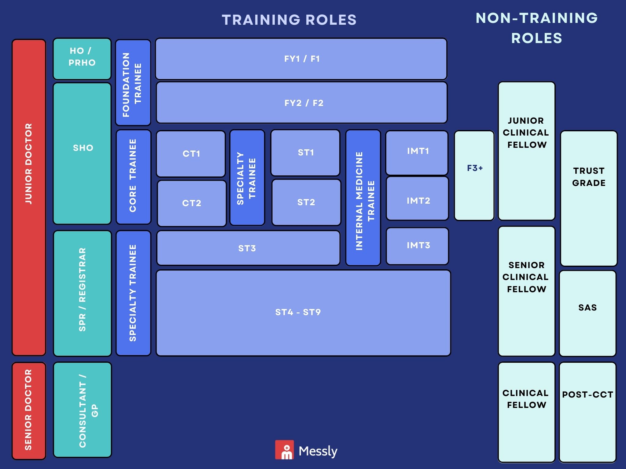 Understanding Junior Doctor Grades and Titles Messly