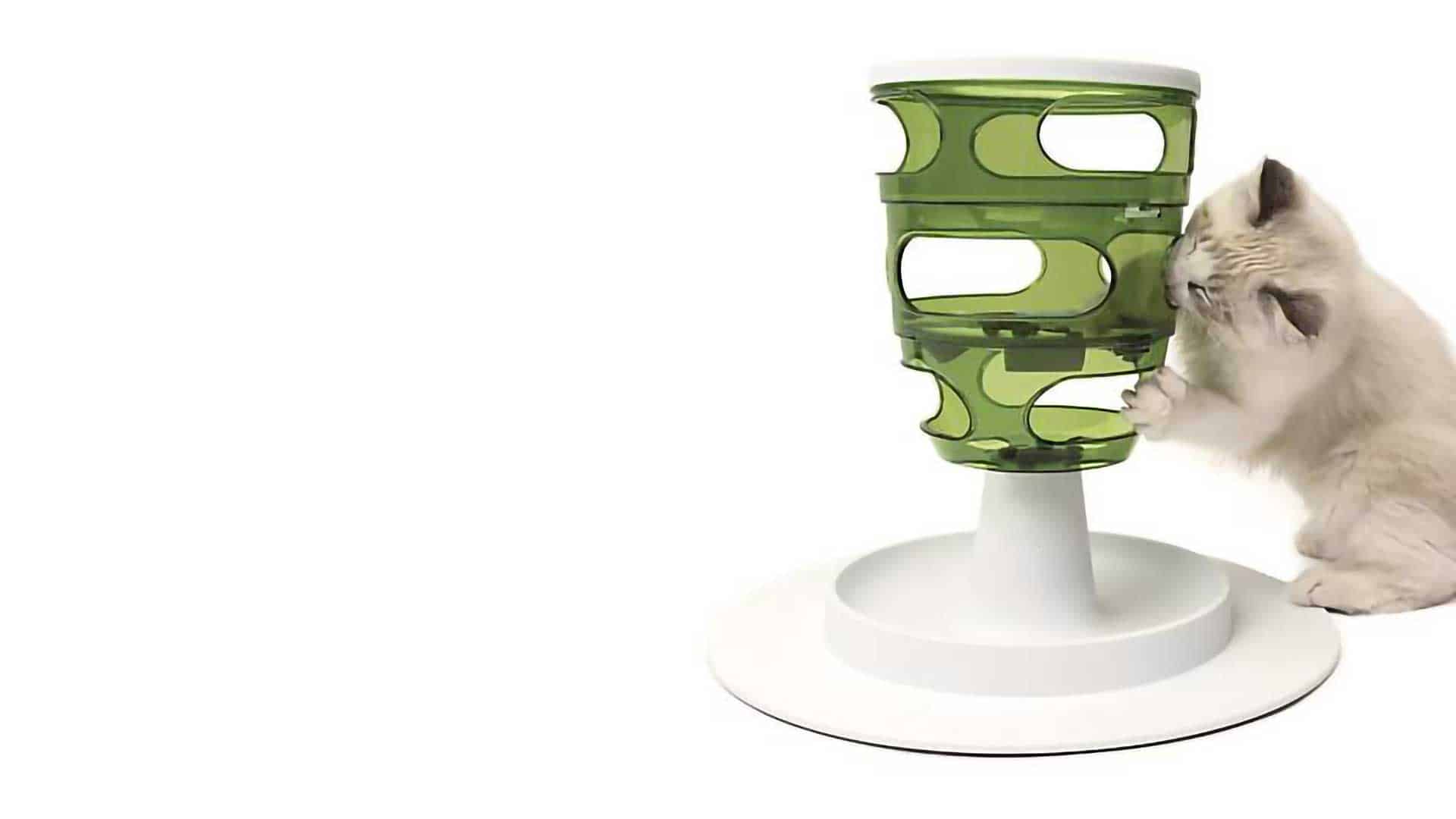 Food Puzzles for Cats The Cat's Meow Veterinary Hospital