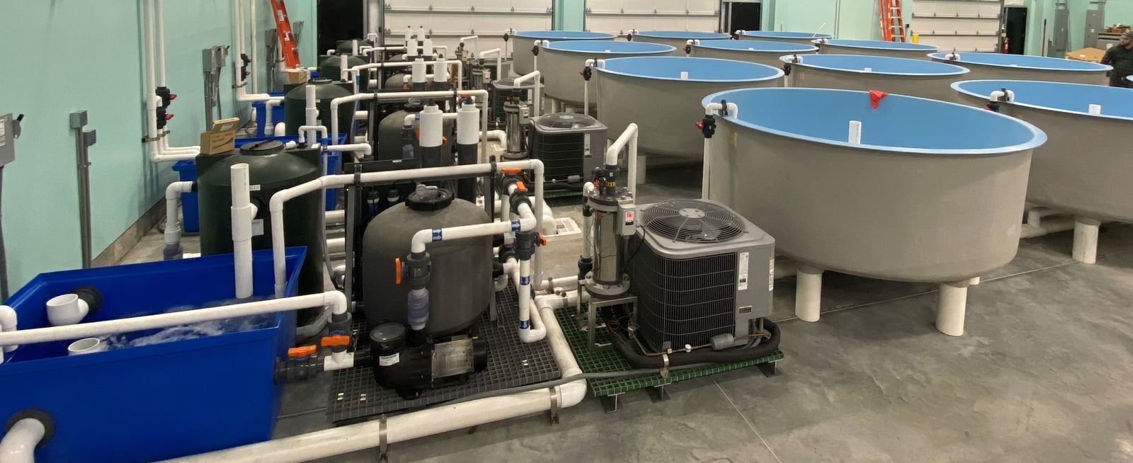 Recirculating Aquaculture Systems IAS, Inc.