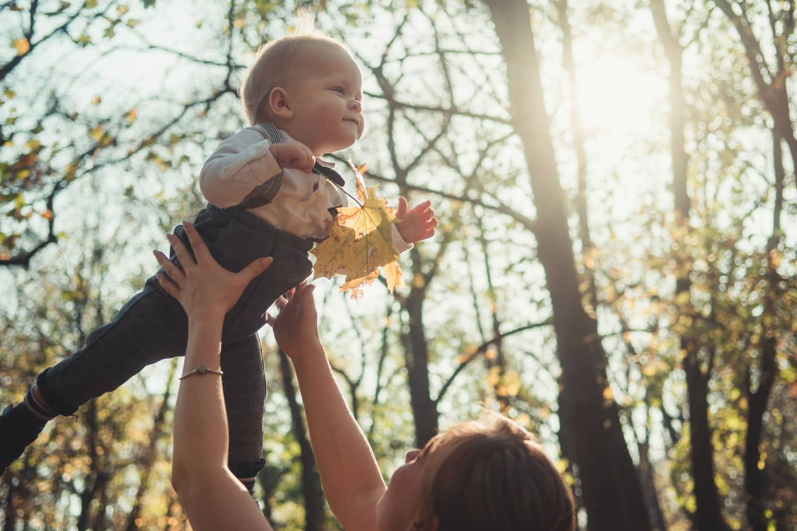 Location Weekend avec bébé Tiny house en pleine forêt