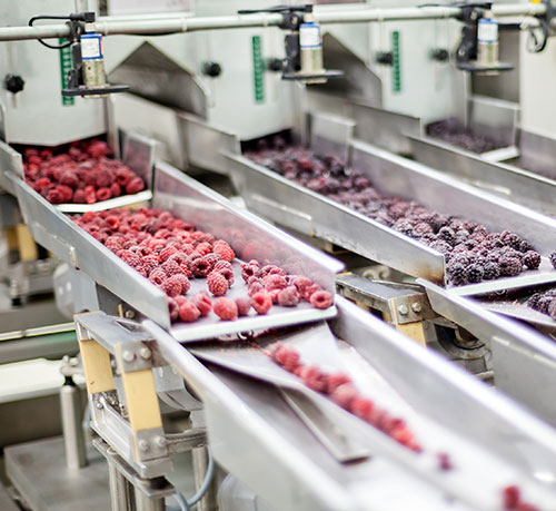 Food service / food manufacturing Food service / food manufacturing