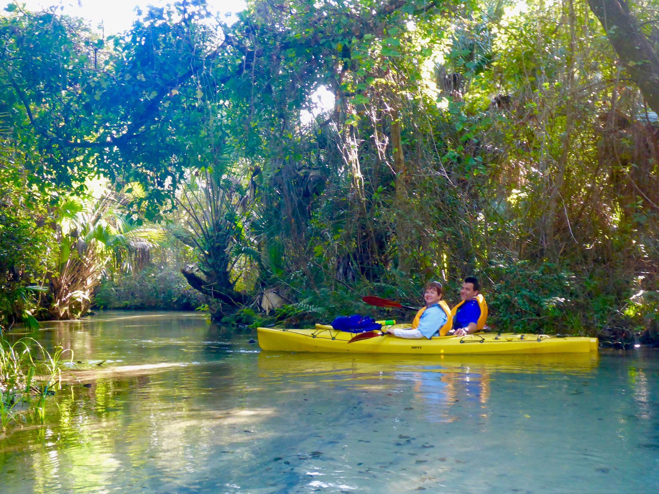 Paddle the Wekiva River in Central FL Adventures in FL
