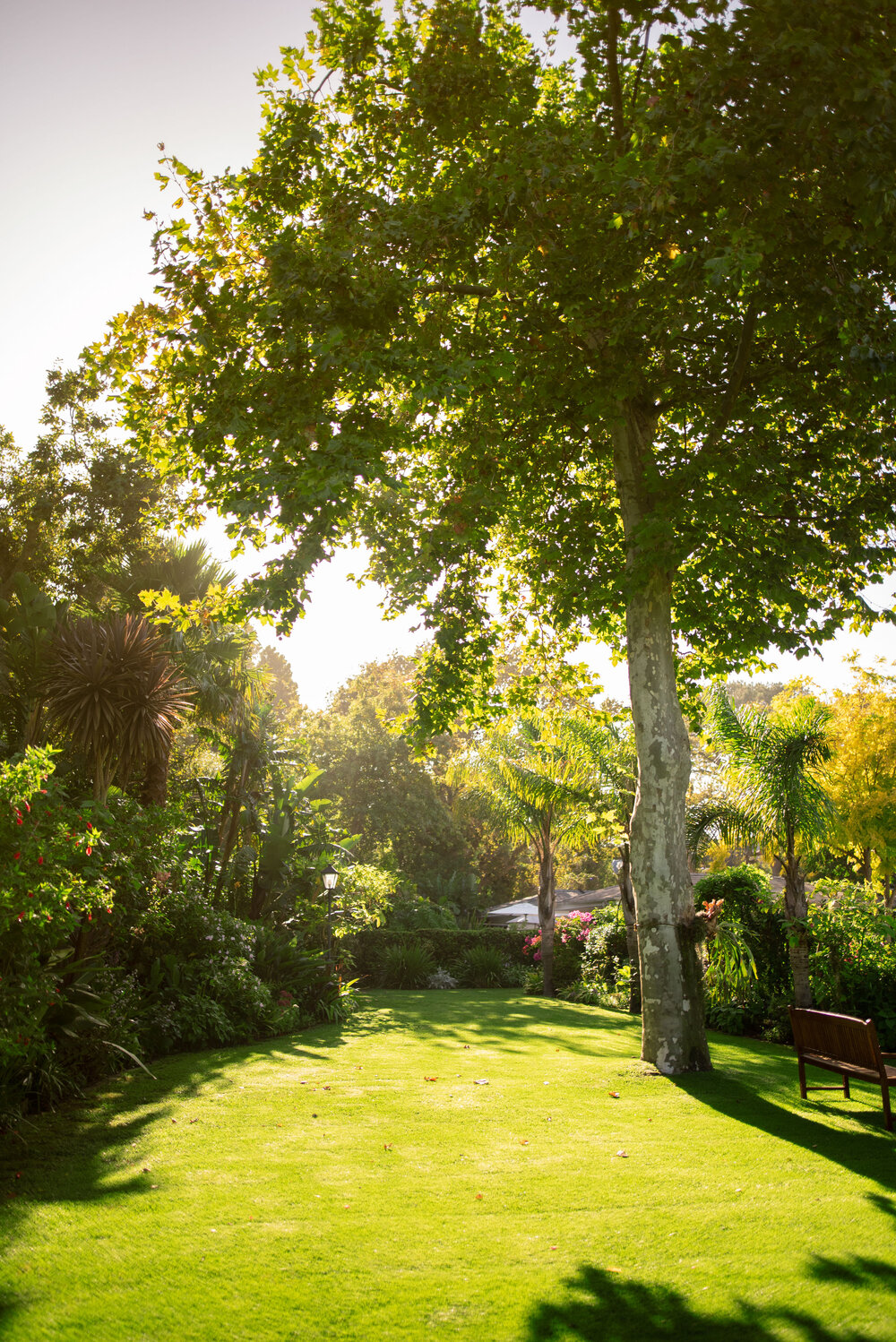 Constantia Garden Functions and Celebrations Last Word