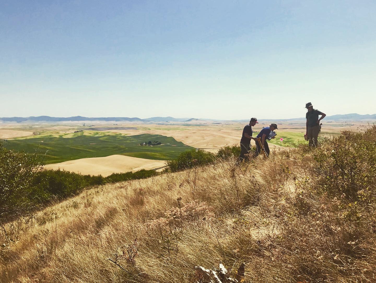 Washington State Conservation Commission