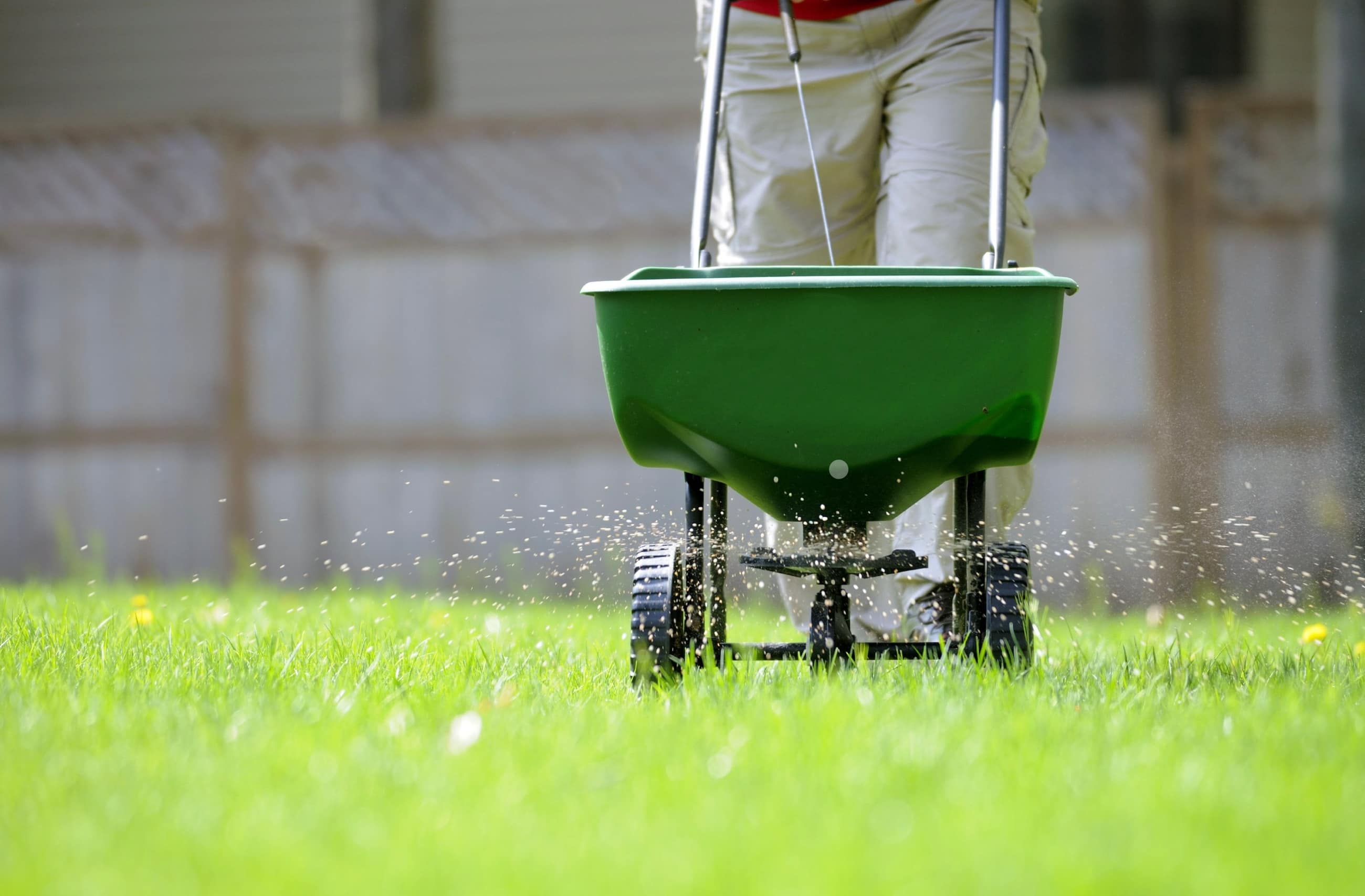 Lago Vista Lawn Care Organic Yard Pros