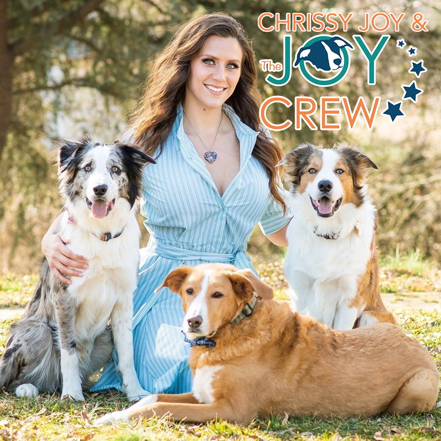 A Famous Dog Trainer