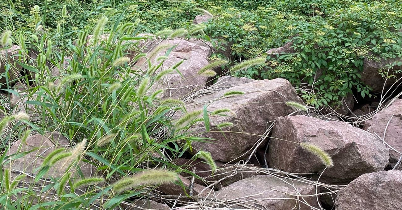 Why Is Undeveloped Land So Cheap? askBAMLand